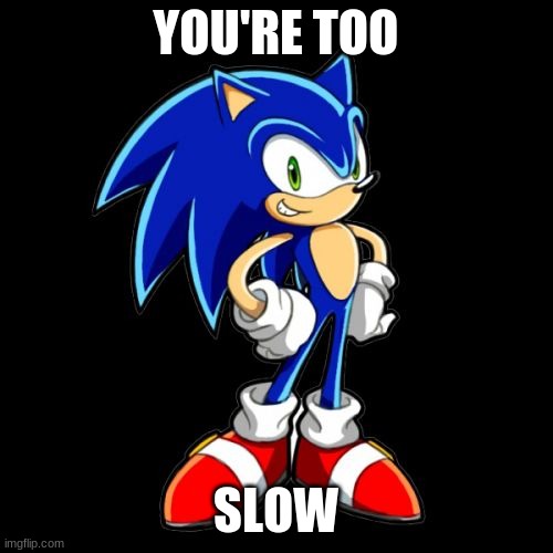 You're Too Slow Sonic Meme | YOU'RE TOO SLOW | image tagged in memes,you're too slow sonic | made w/ Imgflip meme maker