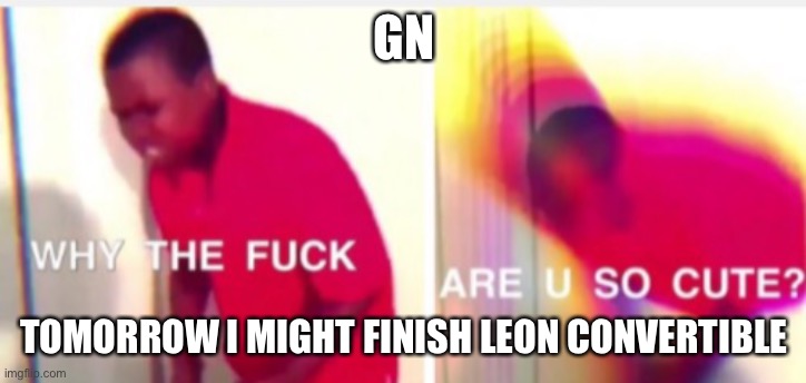 If you don’t know what I’m talking about, go to the comments | GN; TOMORROW I MIGHT FINISH LEON CONVERTIBLE | image tagged in why the fuck are you so cute | made w/ Imgflip meme maker