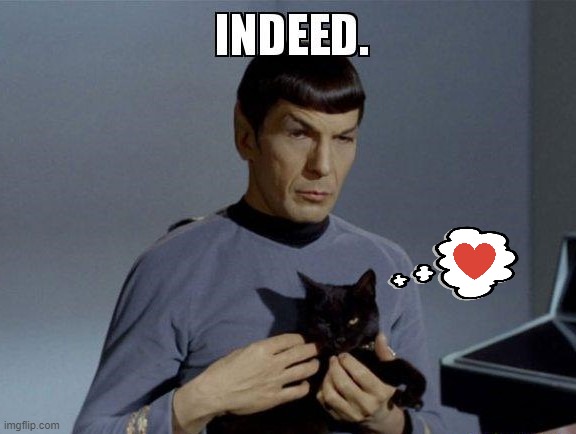 ▬▬ comment specific to comment (grown man cry) on kid keeping cat dry | image tagged in cat,spock,comment | made w/ Imgflip meme maker
