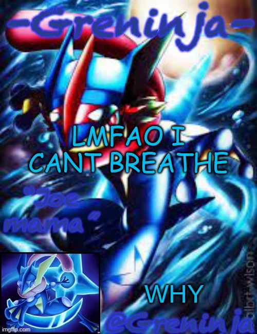 LOL | LMFAO I CANT BREATHE; WHY | image tagged in msmg,memes | made w/ Imgflip meme maker