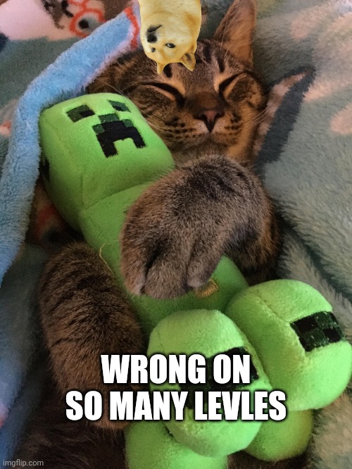 Cat hugging creeper | WRONG ON SO MANY LEVLES | image tagged in cat hugging creeper | made w/ Imgflip meme maker