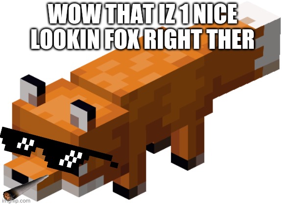 Minecraft fox | WOW THAT IZ 1 NICE LOOKIN FOX RIGHT THER | image tagged in minecraft fox | made w/ Imgflip meme maker