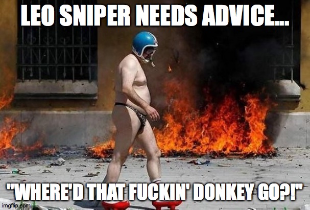  LEO SNIPER NEEDS ADVICE... WHERE'D THAT FUCKIN' DONKEY GO?! | image tagged in party harder | made w/ Imgflip meme maker