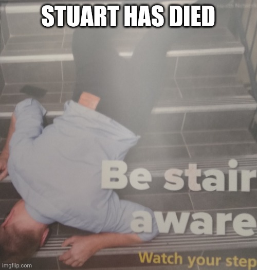 Stuart is very ded | STUART HAS DIED | image tagged in memes | made w/ Imgflip meme maker