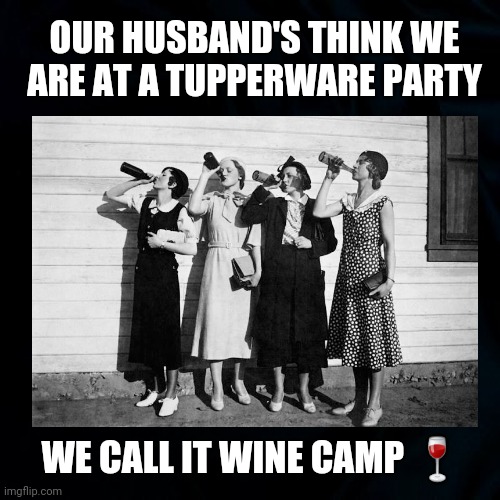 What Grandma Did For Fun | OUR HUSBAND'S THINK WE ARE AT A TUPPERWARE PARTY; WE CALL IT WINE CAMP 🍷 | image tagged in wine,tupperware party,retro,women,wine camp,funny | made w/ Imgflip meme maker
