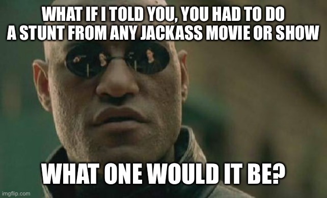 Can’t submit into think tank yet, so here’s it on front | WHAT IF I TOLD YOU, YOU HAD TO DO A STUNT FROM ANY JACKASS MOVIE OR SHOW; WHAT ONE WOULD IT BE? | image tagged in memes,matrix morpheus | made w/ Imgflip meme maker