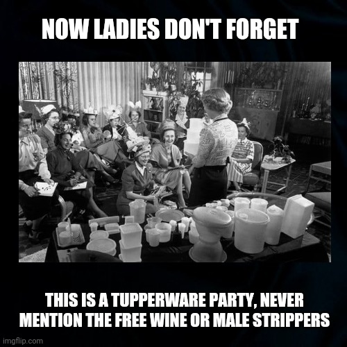 Ladies Night Out | NOW LADIES DON'T FORGET; THIS IS A TUPPERWARE PARTY, NEVER MENTION THE FREE WINE OR MALE STRIPPERS | image tagged in women,wine,strippers,tupperware party,retro,funny | made w/ Imgflip meme maker