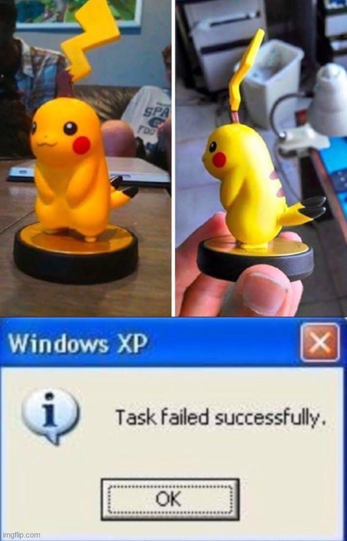 image tagged in task failed successfully | made w/ Imgflip meme maker