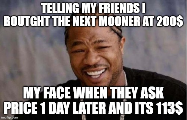 Yo Dawg Heard You Meme | TELLING MY FRIENDS I BOUTGHT THE NEXT MOONER AT 200$; MY FACE WHEN THEY ASK PRICE 1 DAY LATER AND ITS 113$ | image tagged in memes,yo dawg heard you | made w/ Imgflip meme maker