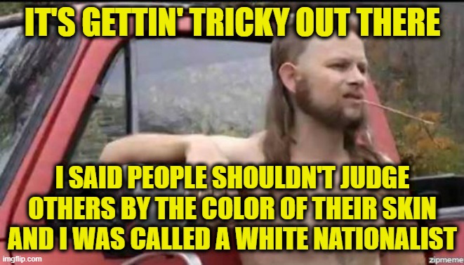 MLK's Dream: So Retro | IT'S GETTIN' TRICKY OUT THERE; I SAID PEOPLE SHOULDN'T JUDGE OTHERS BY THE COLOR OF THEIR SKIN AND I WAS CALLED A WHITE NATIONALIST | image tagged in almost politically correct redneck,racism,white privilege | made w/ Imgflip meme maker