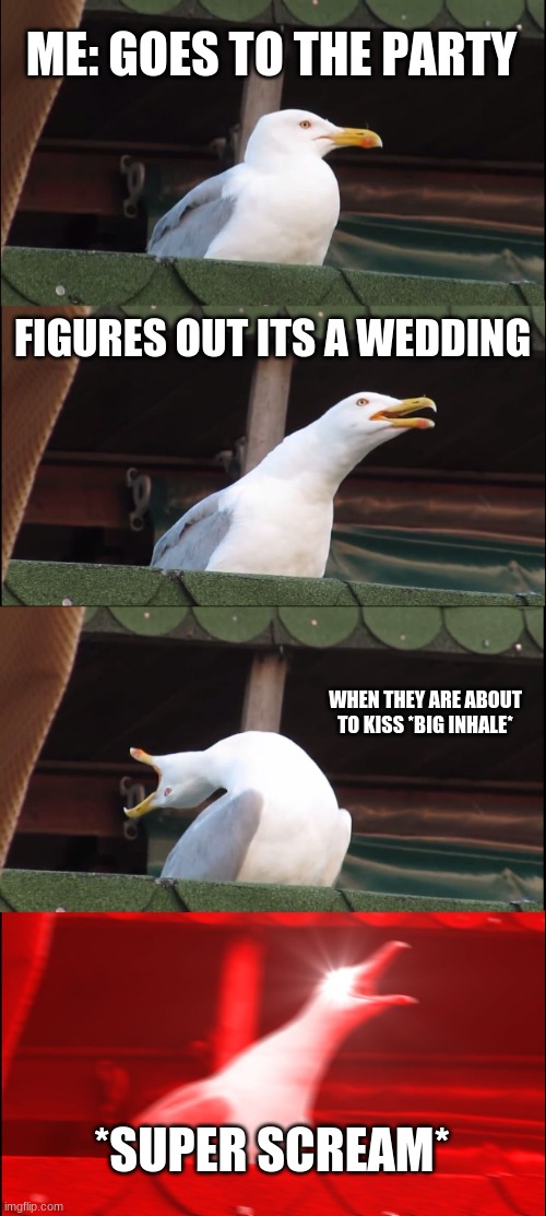 AHhHHhHHHhh | ME: GOES TO THE PARTY; FIGURES OUT ITS A WEDDING; WHEN THEY ARE ABOUT TO KISS *BIG INHALE*; *SUPER SCREAM* | image tagged in memes,inhaling seagull | made w/ Imgflip meme maker
