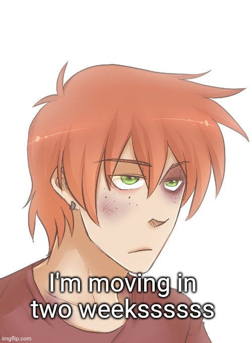I'm moving in two weekssssss | made w/ Imgflip meme maker