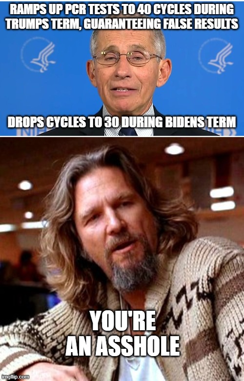  RAMPS UP PCR TESTS TO 40 CYCLES DURING TRUMPS TERM, GUARANTEEING FALSE RESULTS; DROPS CYCLES TO 30 DURING BIDENS TERM; YOU'RE AN ASSHOLE | image tagged in dr fauci,memes,confused lebowski | made w/ Imgflip meme maker