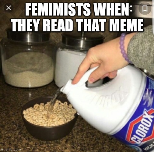 Bleach cereal | FEMIMISTS WHEN THEY READ THAT MEME | image tagged in bleach cereal | made w/ Imgflip meme maker