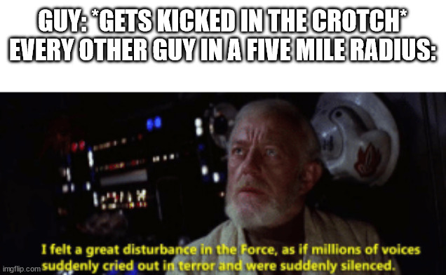 GUY: *GETS KICKED IN THE CROTCH*
EVERY OTHER GUY IN A FIVE MILE RADIUS: | image tagged in obi wan kenobi | made w/ Imgflip meme maker