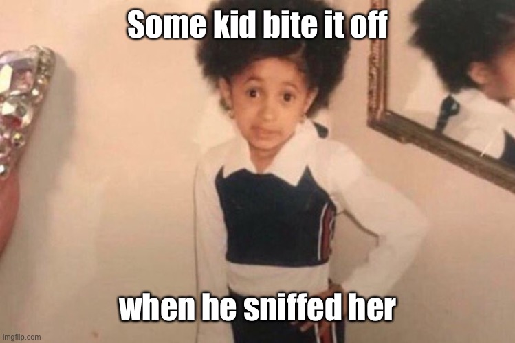 Young Cardi B Meme | Some kid bite it off when he sniffed her | image tagged in memes,young cardi b | made w/ Imgflip meme maker