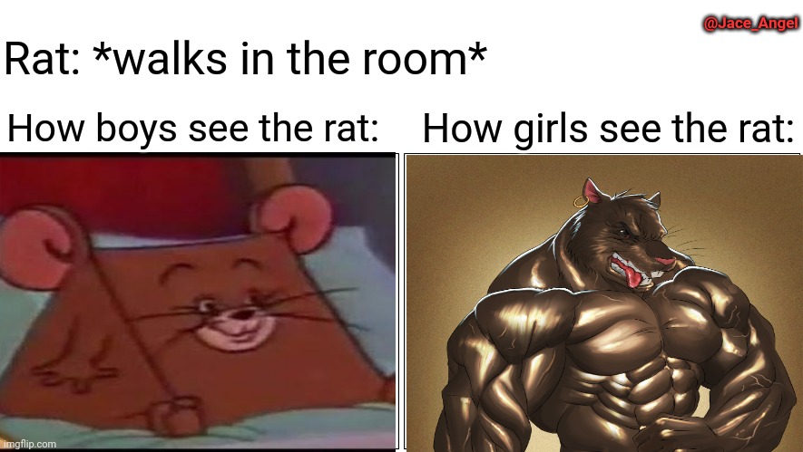 ratt | Rat: *walks in the room*; @Jace_Angel; How boys see the rat:; How girls see the rat: | image tagged in memes,blank comic panel 2x1,rats,boys vs girls,polish jerry,buff doge vs cheems | made w/ Imgflip meme maker