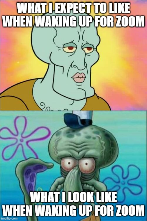 Squidward Meme | WHAT I EXPECT TO LIKE WHEN WAKING UP FOR ZOOM; WHAT I LOOK LIKE WHEN WAKING UP FOR ZOOM | image tagged in memes,squidward | made w/ Imgflip meme maker