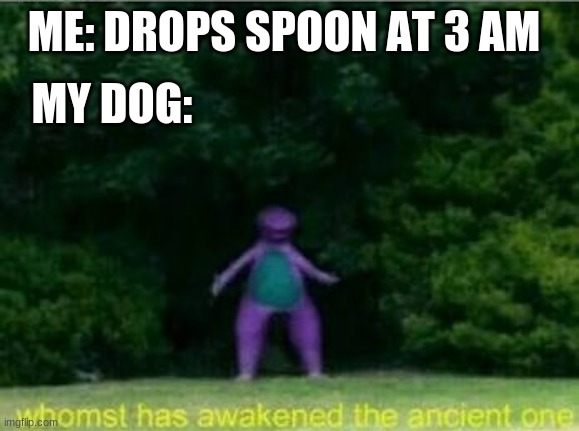 Whomst has awakened the ancient one | ME: DROPS SPOON AT 3 AM; MY DOG: | image tagged in whomst has awakened the ancient one | made w/ Imgflip meme maker