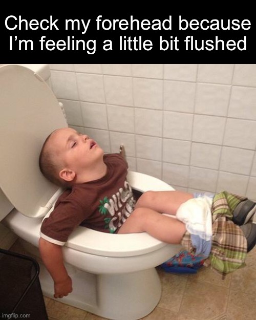 Partly Trained | Check my forehead because
I’m feeling a little bit flushed | image tagged in funny memes,eyeroll,dad jokes | made w/ Imgflip meme maker