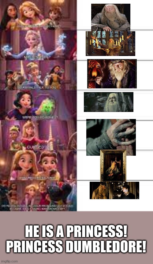 oof why is it blurry | HE IS A PRINCESS! PRINCESS DUMBLEDORE! | image tagged in she he is a princess | made w/ Imgflip meme maker