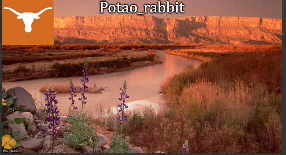 PotatoRabbit Texas template 1 Blank Meme Template