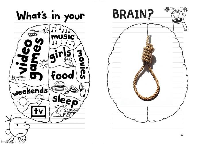 Diary of a wimpy kid brain | image tagged in diary of a wimpy kid brain | made w/ Imgflip meme maker