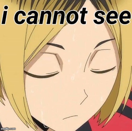 I cannot see | image tagged in i cannot see | made w/ Imgflip meme maker