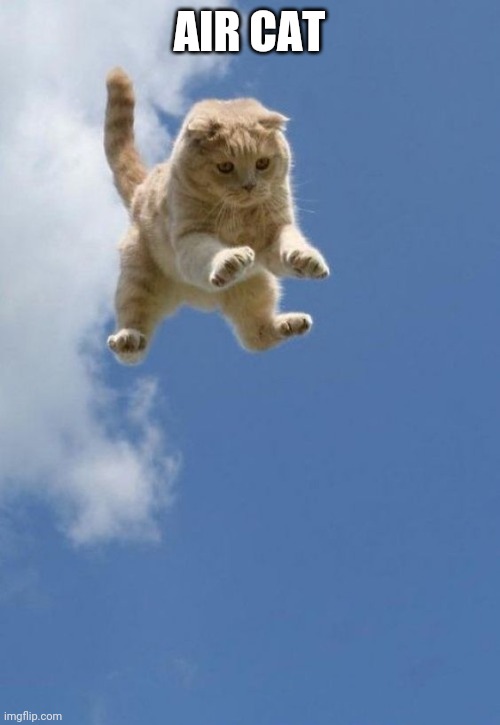 AIR CAT | made w/ Imgflip meme maker