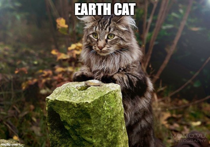 forest cat | EARTH CAT | image tagged in forest cat | made w/ Imgflip meme maker