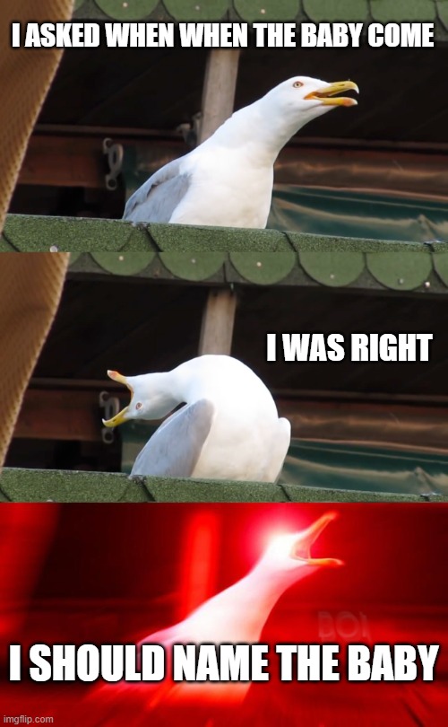Inhaling seagull | I ASKED WHEN WHEN THE BABY COME I WAS RIGHT I SHOULD NAME THE BABY | image tagged in inhaling seagull | made w/ Imgflip meme maker