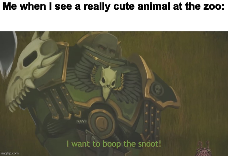 I want to boop the snoot! | Me when I see a really cute animal at the zoo: | image tagged in i want to boop the snoot,zoo,animals,cute,funny,memes | made w/ Imgflip meme maker