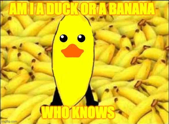 Duck banana | AM I A DUCK OR A BANANA; WHO KNOWS | image tagged in banana | made w/ Imgflip meme maker