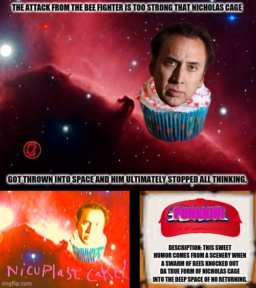 Nicholas Cage People | THE ATTACK FROM THE BEE FIGHTER IS TOO STRONG THAT NICHOLAS CAGE; GOT THROWN INTO SPACE AND HIM ULTIMATELY STOPPED ALL THINKING. PUNKKIN! DESCRIPTION: THIS SWEET HUMOR COMES FROM A SCENERY WHEN A SWARM OF BEES KNOCKED OUT DA TRUE FORM OF NICHOLAS CAGE INTO THE DEEP SPACE OF NO RETURNING. | image tagged in memes,nicholas cage,space ghost | made w/ Imgflip meme maker