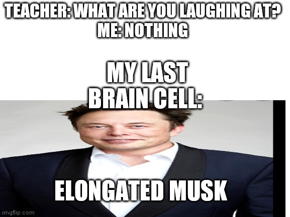 Elongated Musk | TEACHER: WHAT ARE YOU LAUGHING AT?
ME: NOTHING; MY LAST BRAIN CELL:; ELONGATED MUSK | image tagged in elon musk | made w/ Imgflip meme maker