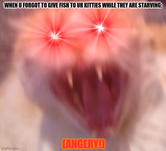Angry cat | WHEN U FORGOT TO GIVE FISH TO UR KITTIES WHILE THEY ARE STARVING:; (ANGERY!) | image tagged in memes,angry cat,change my mind | made w/ Imgflip meme maker