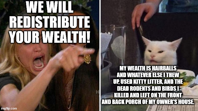Socialist picks the worst possible target. | WE WILL REDISTRIBUTE YOUR WEALTH! MY WEALTH IS HAIRBALLS AND WHATEVER ELSE I THEW UP, USED KITTY LITTER, AND THE DEAD RODENTS AND BIRDS I KI | image tagged in woman cat,socialism,funny meme,political meme,political humor | made w/ Imgflip meme maker