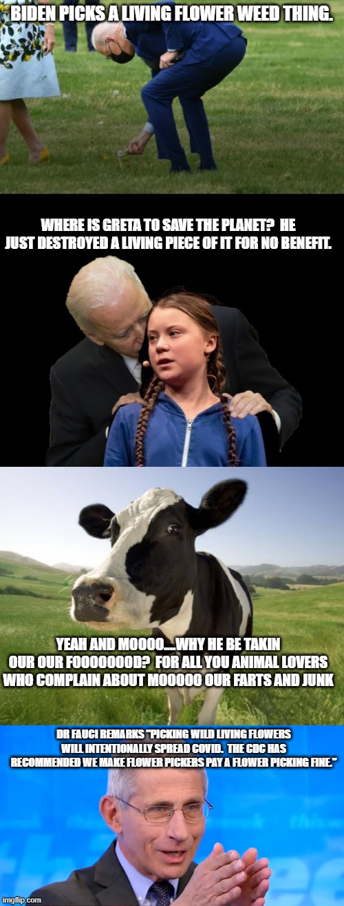 Biden is Destroying the plane one flower at a time.  On protected Government property too! | BIDEN PICKS A LIVING FLOWER WEED THING. WHERE IS GRETA TO SAVE THE PLANET?  HE JUST DESTROYED A LIVING PIECE OF IT FOR NO BENEFIT. YEAH AND MOOOO....WHY HE BE TAKIN OUR OUR FOOOOOOOD?  FOR ALL YOU ANIMAL LOVERS WHO COMPLAIN ABOUT MOOOOO OUR FARTS AND JUNK; DR FAUCI REMARKS "PICKING WILD LIVING FLOWERS WILL INTENTIONALLY SPREAD COVID.  THE CDC HAS RECOMMENDED WE MAKE FLOWER PICKERS PAY A FLOWER PICKING FINE." | image tagged in greta thunberg creepy joe biden sniffing hair,cow,dr fauci 2020 | made w/ Imgflip meme maker