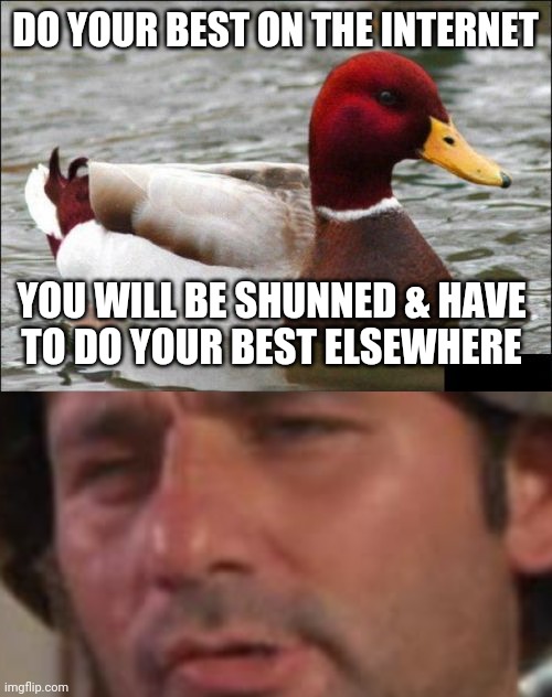 DO YOUR BEST ON THE INTERNET; YOU WILL BE SHUNNED & HAVE 
TO DO YOUR BEST ELSEWHERE | image tagged in memes,malicious advice mallard,so i got that goin for me which is nice | made w/ Imgflip meme maker