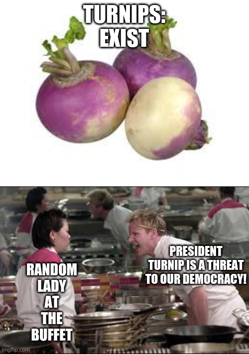 Turnip Derangement Syndrome | TURNIPS:
EXIST; PRESIDENT TURNIP IS A THREAT TO OUR DEMOCRACY! RANDOM
LADY
AT
THE
BUFFET | image tagged in turnip,memes,angry chef gordon ramsay,tds,trump derangement syndrome,trump | made w/ Imgflip meme maker