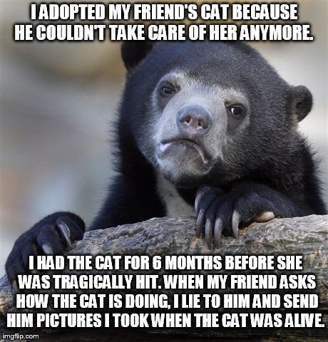 Confession Bear Meme | I ADOPTED MY FRIEND'S CAT BECAUSE HE COULDN'T TAKE CARE OF HER ANYMORE.  I HAD THE CAT FOR 6 MONTHS BEFORE SHE WAS TRAGICALLY HIT. WHEN MY F | image tagged in memes,confession bear,AdviceAnimals | made w/ Imgflip meme maker