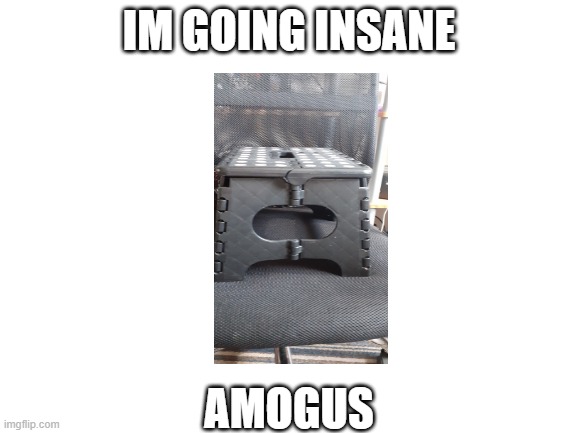Blank White Template | IM GOING INSANE; AMOGUS | image tagged in blank white template | made w/ Imgflip meme maker