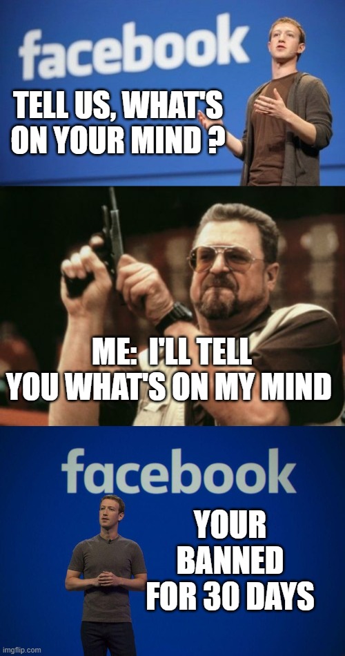 facebook be like | TELL US, WHAT'S ON YOUR MIND ? ME:  I'LL TELL YOU WHAT'S ON MY MIND; YOUR BANNED FOR 30 DAYS | image tagged in memes,am i the only one around here | made w/ Imgflip meme maker