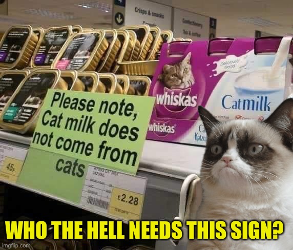 Who the hell needs this sign? | WHO THE HELL NEEDS THIS SIGN? | image tagged in grumpy cat,funny signs,funny cat memes,grumpy cat not amused | made w/ Imgflip meme maker