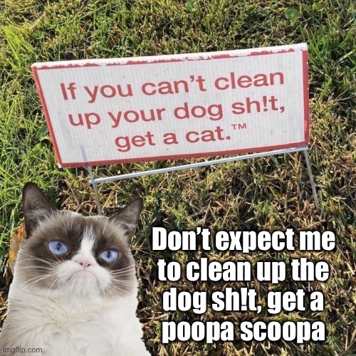 No don’t try and get a cat to do this! | Don’t expect me 
to clean up the 
dog sh!t, get a 
poopa scoopa | image tagged in grumpy cat,funny signs,grumpy cat not amused,funny cat memes | made w/ Imgflip meme maker
