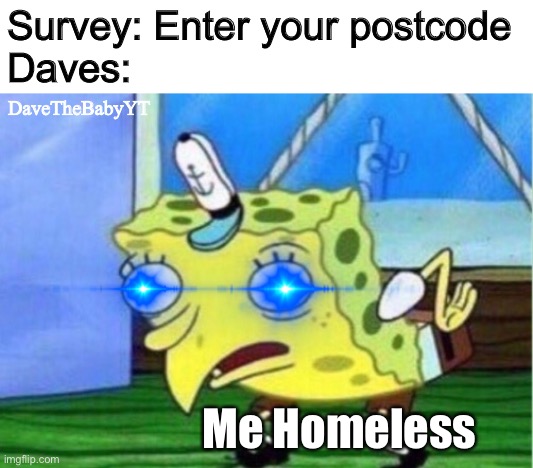 Haha. | Survey: Enter your postcode
Daves:; DaveTheBabyYT; Me Homeless | image tagged in memes,mocking spongebob | made w/ Imgflip meme maker