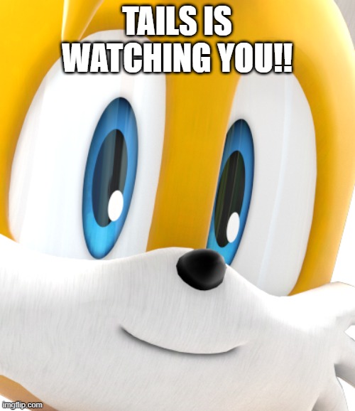 the fox is watching you | TAILS IS WATCHING YOU!! | image tagged in the fox is watching you,tails,tails the fox | made w/ Imgflip meme maker