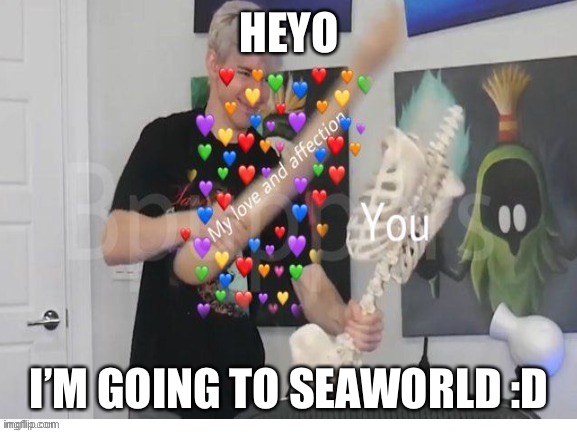 :) | HEYO; I’M GOING TO SEAWORLD :D | image tagged in o | made w/ Imgflip meme maker