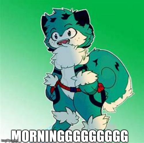 AAAAAAAAAAAAAAA | MORNINGGGGGGGGG | image tagged in furry deku2 | made w/ Imgflip meme maker