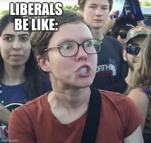 Triggered feminist | LIBERALS BE LIKE: | image tagged in triggered feminist | made w/ Imgflip meme maker
